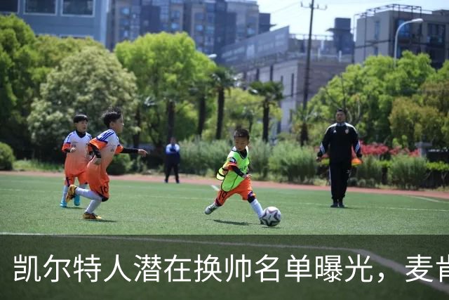 凯尔特人潜在换帅名单曝光，麦肯纳赫然在列